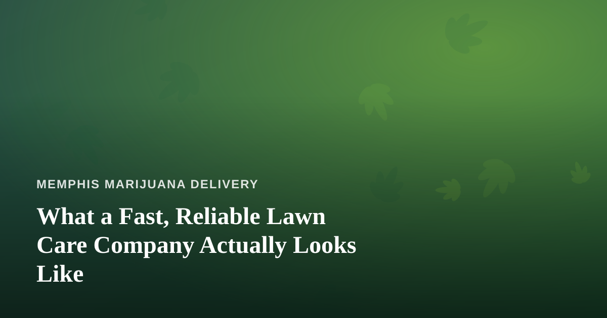 What a Fast, Reliable Lawn Care Company Actually Looks Like