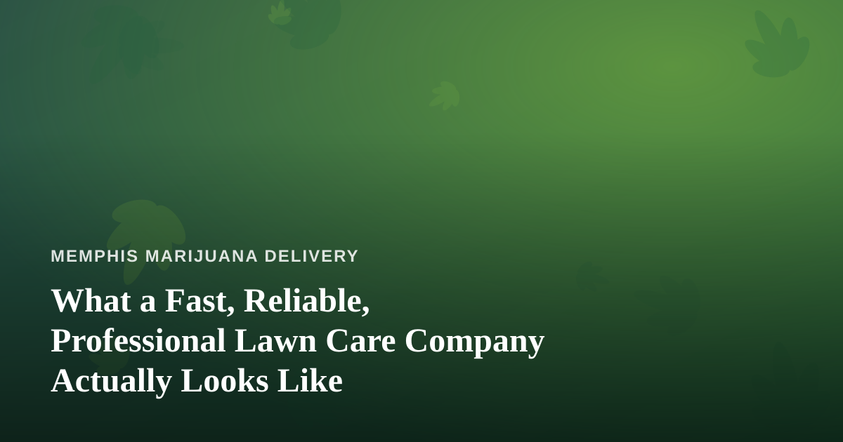 What a Fast, Reliable, Professional Lawn Care Company Actually Looks Like